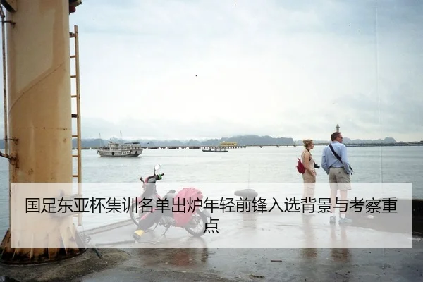 国足东亚杯集训名单出炉年轻前锋入选背景与考察重点